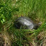 アパート Gemuetliche In Hirschreicher Umgebung *