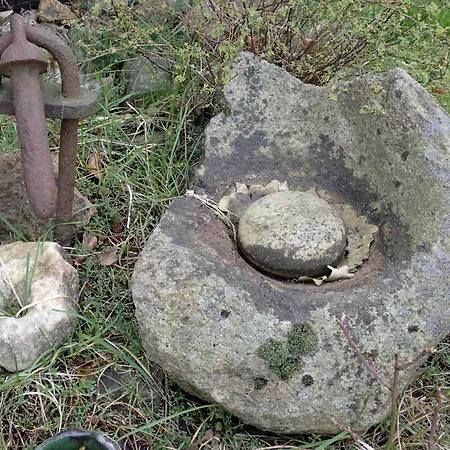 Gemuetliche In Hirschreicher Umgebung Jasnitz