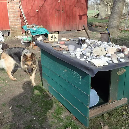 Gemuetliche In Hirschreicher Umgebung *