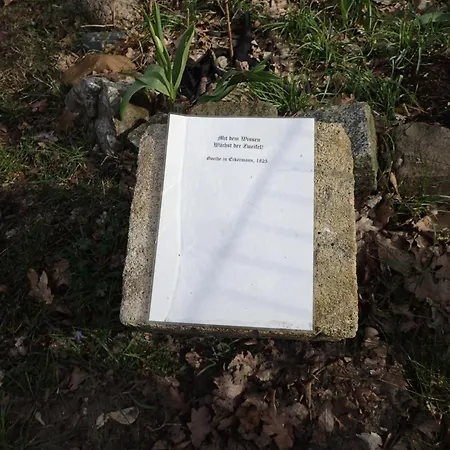 Gemuetliche In Hirschreicher Umgebung * Jasnitz