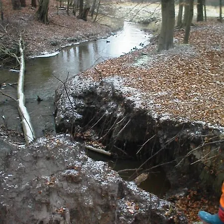 Gemuetliche In Hirschreicher Umgebung * Jasnitz