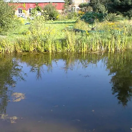 Gemuetliche In Hirschreicher Umgebung Jasnitz