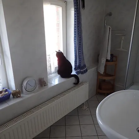 Gemuetliche In Hirschreicher Umgebung *